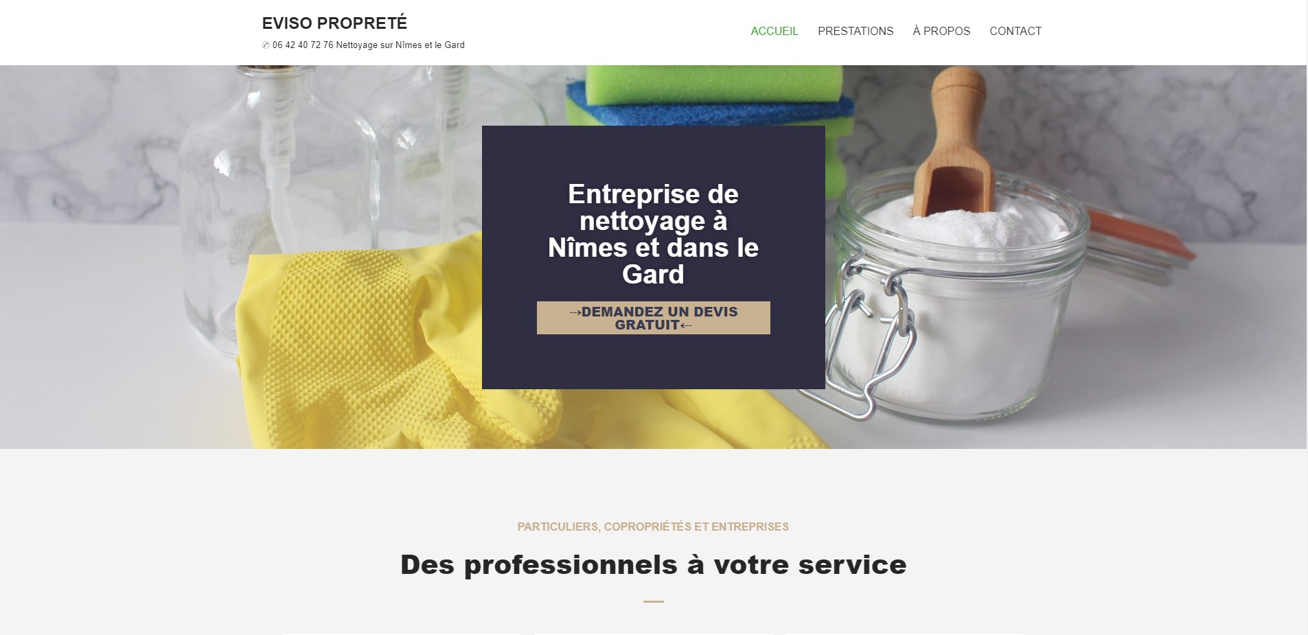 capture page accueil du site Eviso Propreté